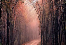 圣埃蒂安主场告捷，积分榜升至第六