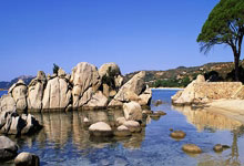 巴伦西亚主场击败马拉加，士气高涨