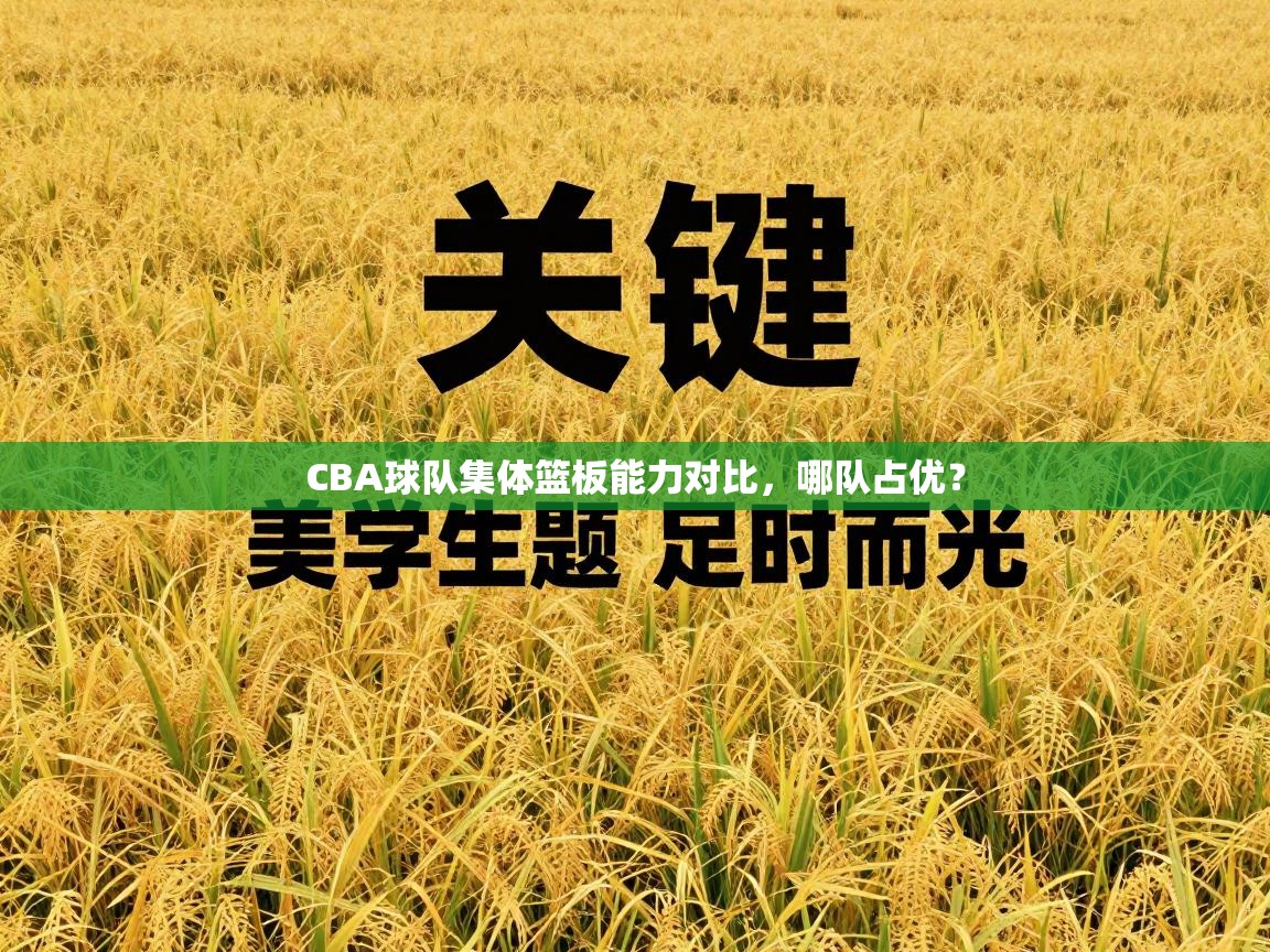 CBA球队集体篮板能力对比，哪队占优？